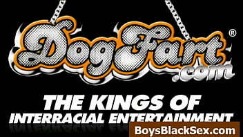 Blacks On Boys - Interracial Porn Gay Videos - 03