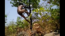 Village Boy Nude Safar na floresta, brincar com as árvores