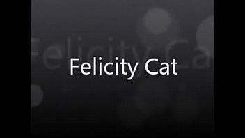 felicity cat secual content 18