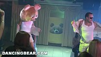 DANCING BEAR - Things Get Wild And Crazy At This Birthday Party