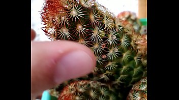 Caquito Porn (Outdoors ASMR)