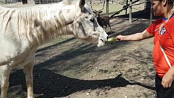 Я весь промок, увидев размер коня !!! Желаю, чтобы мой парень был таким !!! Пэти Батт, Эль Торо Де Оро