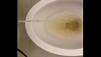 Pausa para urinar