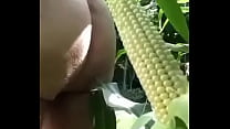 to eat corn