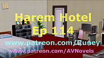 Harem Hotel 114