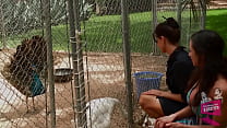 Ариэлла Феррара вынуждена предъявить претензии матери своей ученицы по поводу исключения из академии. Однако у Доксмы есть способ уладить отношения с Ариэллой, что делает всех счастливыми.