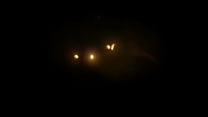 Ребекка Волпетти возвращается с мочой в рот и анальной сценой BTS - 2-й ракурс [1 час БОНУСНЫХ ВИДЕО]