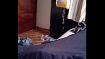 Она приходит в мою комнату и делает это, зная, что это грех.