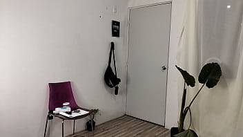 Ублюдок, дай мне поработать, чтобы я мог купить тебе крокеты! Мой кот хочет стать актером: НАЧО ВИДАЛЬ!