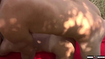 Wild Milf Gets Fucked Hard By Bull