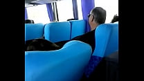 Schwanz im Bus packen